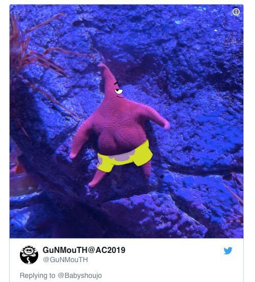 Bintang Laut Pamer Bokong Ini Mirip Patrick Star