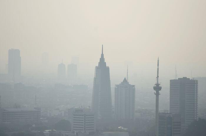 Polusi Rekonsiliasi Ancam Indonesia Hijau 2030