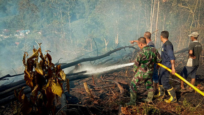 Karhutla seluas 116 hektare melanda 12 kabupaten di Aceh