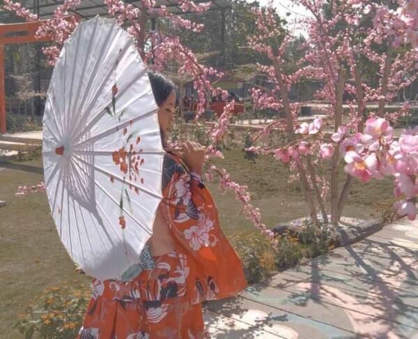 75+ Gambar Bunga Sakura Cantik Terlihat Keren 75+ Gambar Bunga Sakura Cantik Terlihat Keren