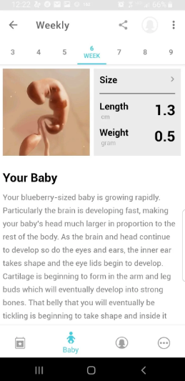 Ada Aplikasi Smartphone yang bisa Mantau Perkembangan si Kecil dalam Kandunganmu Loh!