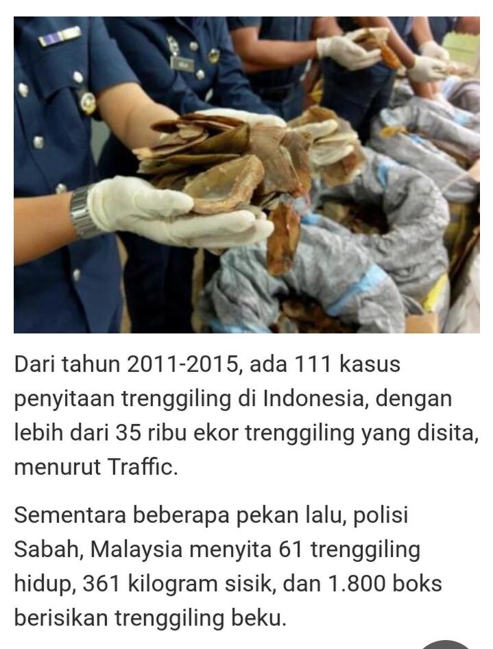 Jangan Biarkan Mereka Punah
