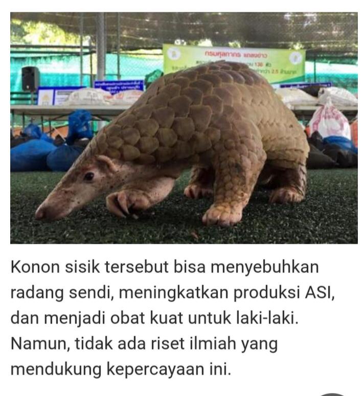 Jangan Biarkan Mereka Punah