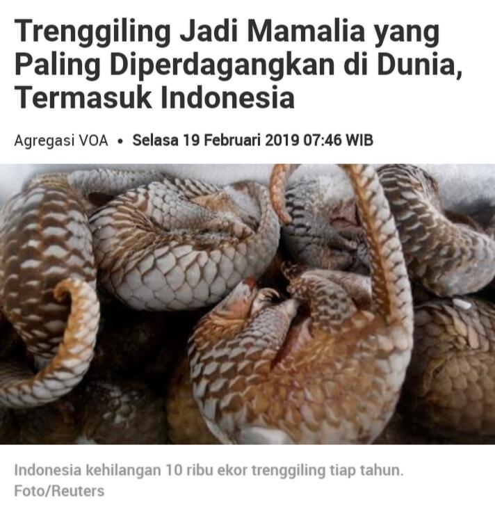 Jangan Biarkan Mereka Punah