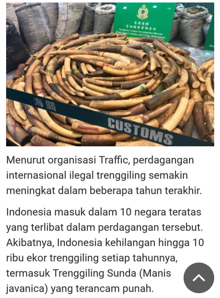 Jangan Biarkan Mereka Punah