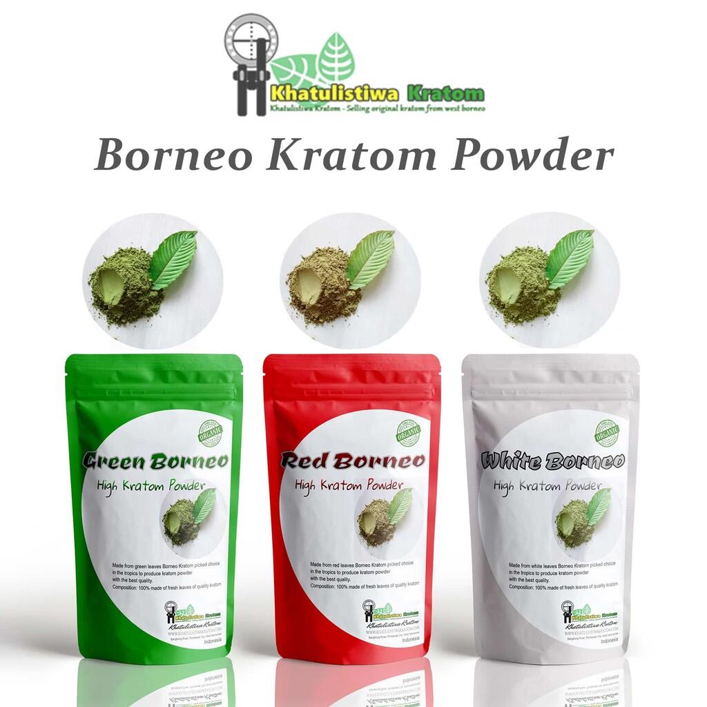 Kratom, Penyambung Hidup Petani yang Di Haramkan BNN.