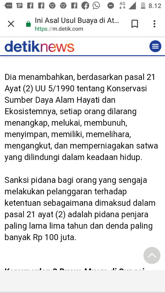 Heboh! Buaya Panjat Genting, Kira-kira Mau Ngapain ya Gan?