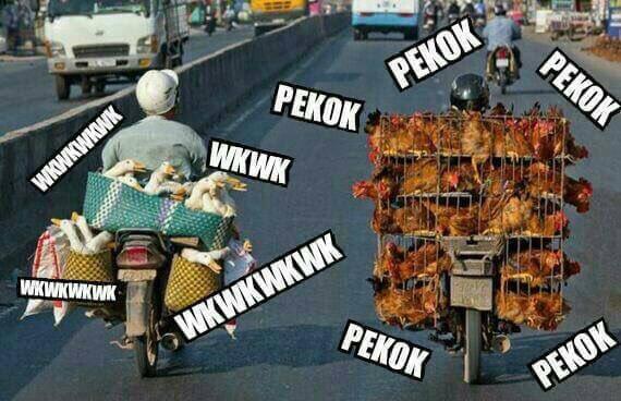 Hakim MK Heran Pengacara PAN Pinjam Berkas Perbaikan: Are You Ciyus?