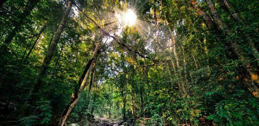 6 Keindahan Singapura Botanic Gardens Buat Para Penyuka Alam