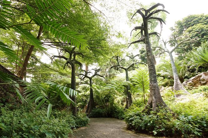 6 Keindahan Singapura Botanic Gardens Buat Para Penyuka Alam