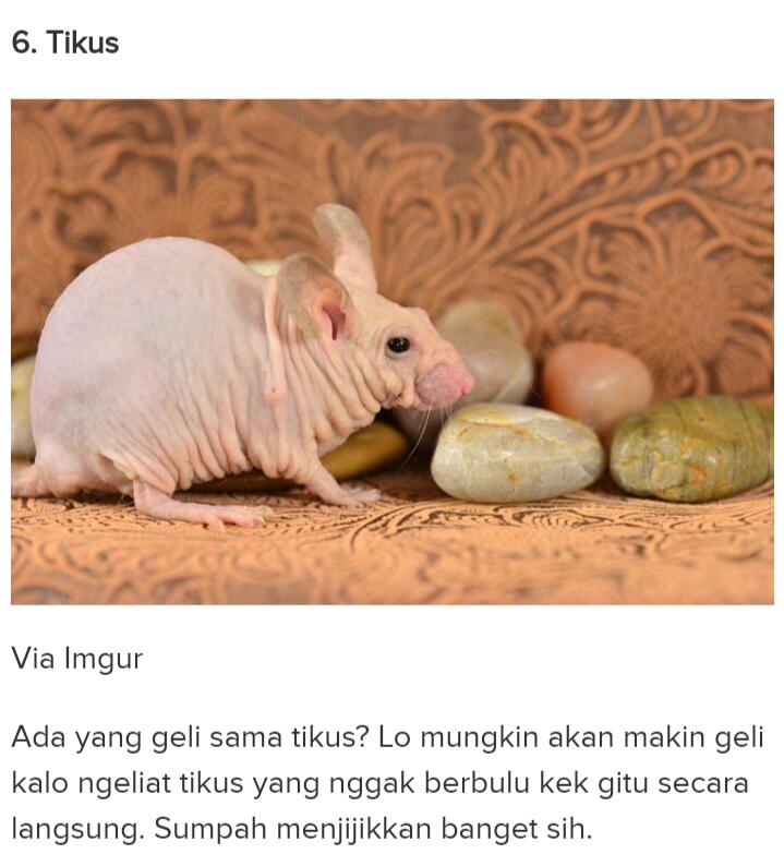 Dari Yang Telanjang Hingga Yang Unik Ada Di Sini Gan-sis, Yuk Cekidot Dah