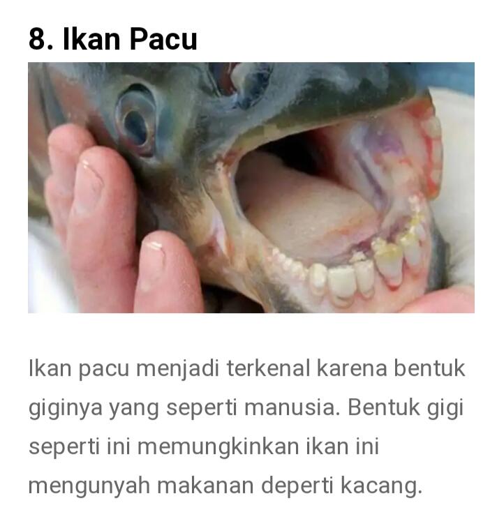 Dari Yang Telanjang Hingga Yang Unik Ada Di Sini Gan-sis, Yuk Cekidot Dah