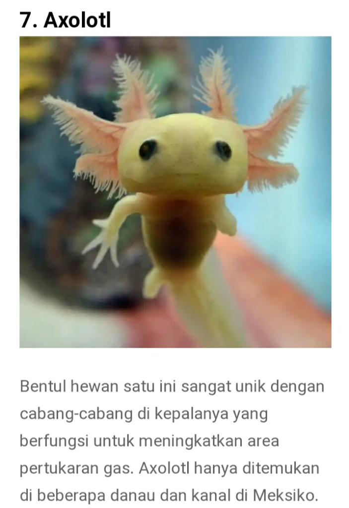 Dari Yang Telanjang Hingga Yang Unik Ada Di Sini Gan-sis, Yuk Cekidot Dah