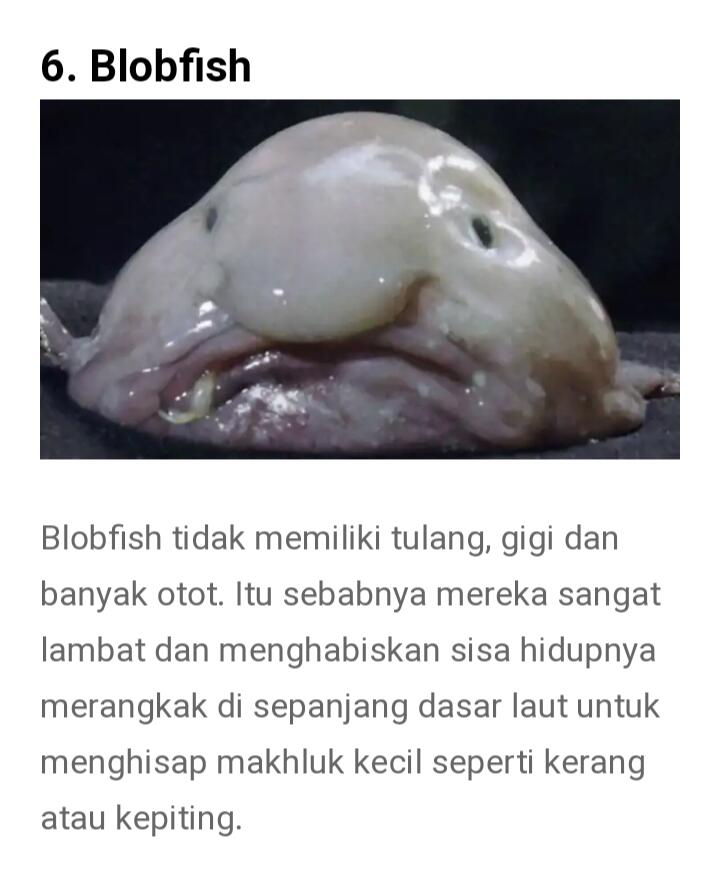 Dari Yang Telanjang Hingga Yang Unik Ada Di Sini Gan-sis, Yuk Cekidot Dah