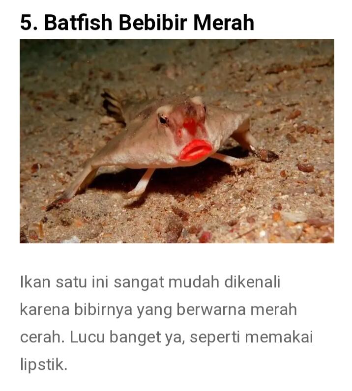 Dari Yang Telanjang Hingga Yang Unik Ada Di Sini Gan-sis, Yuk Cekidot Dah