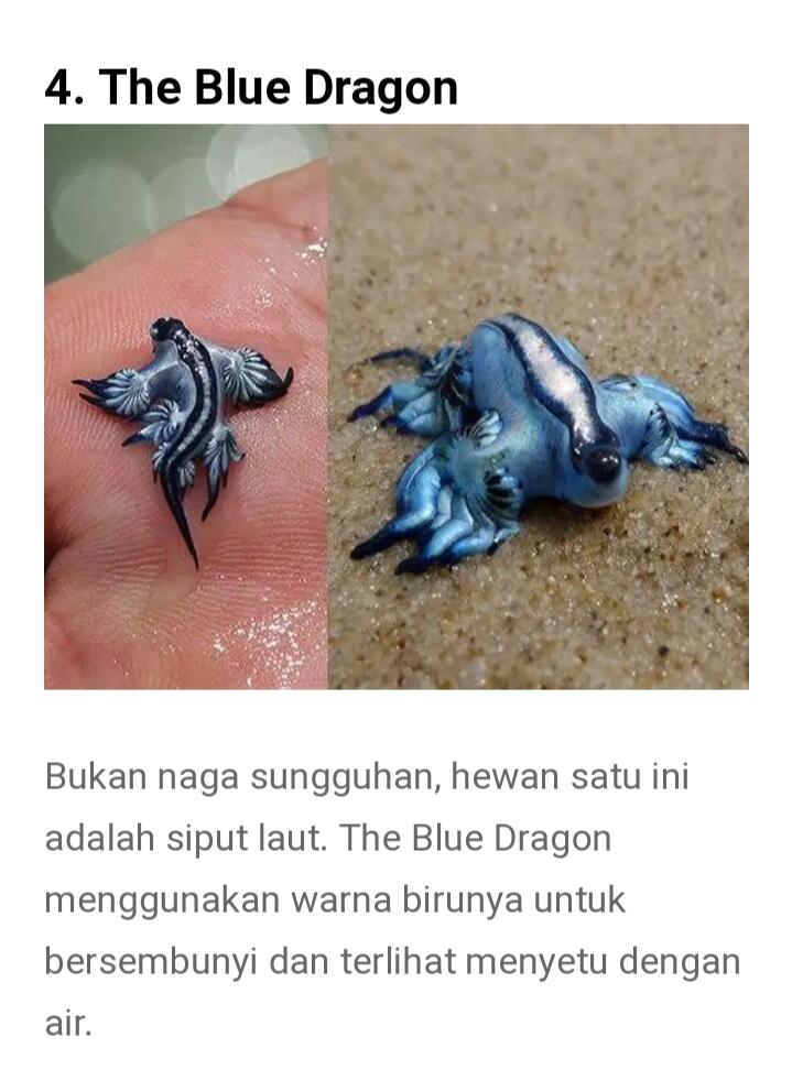 Dari Yang Telanjang Hingga Yang Unik Ada Di Sini Gan-sis, Yuk Cekidot Dah