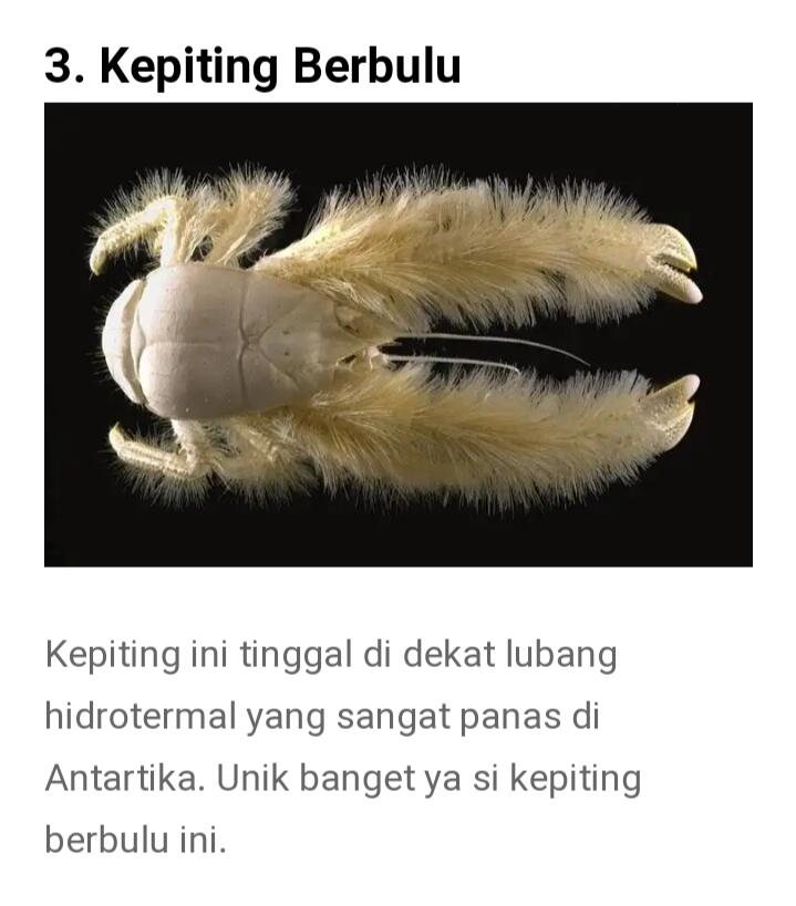 Dari Yang Telanjang Hingga Yang Unik Ada Di Sini Gan-sis, Yuk Cekidot Dah