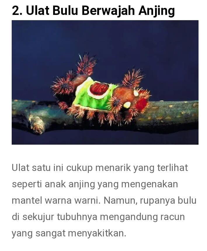 Dari Yang Telanjang Hingga Yang Unik Ada Di Sini Gan-sis, Yuk Cekidot Dah