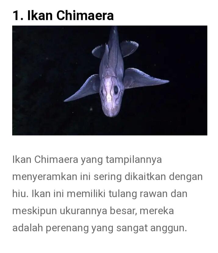 Dari Yang Telanjang Hingga Yang Unik Ada Di Sini Gan-sis, Yuk Cekidot Dah