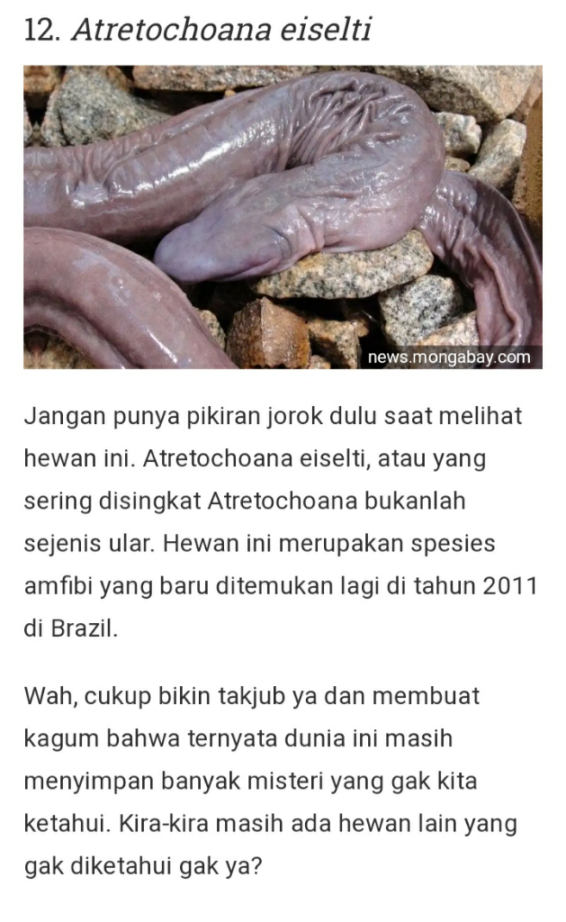 Dari Yang Telanjang Hingga Yang Unik Ada Di Sini Gan-sis, Yuk Cekidot Dah