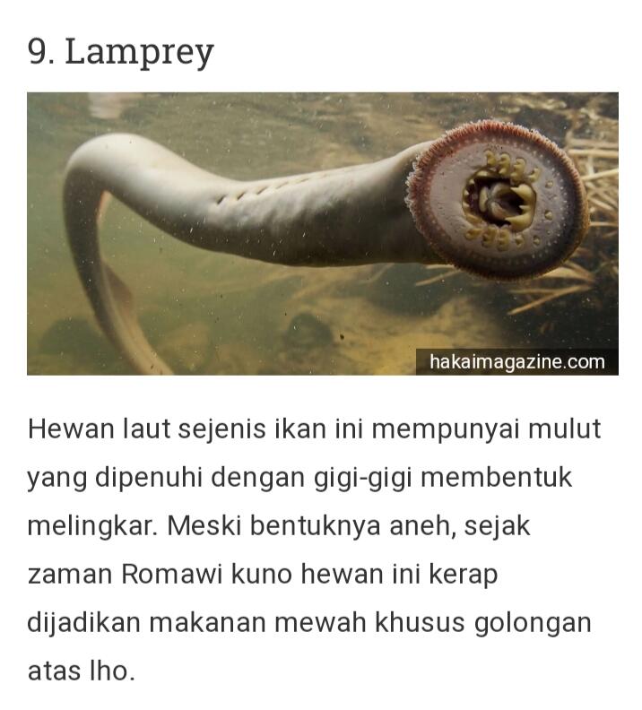 Dari Yang Telanjang Hingga Yang Unik Ada Di Sini Gan-sis, Yuk Cekidot Dah