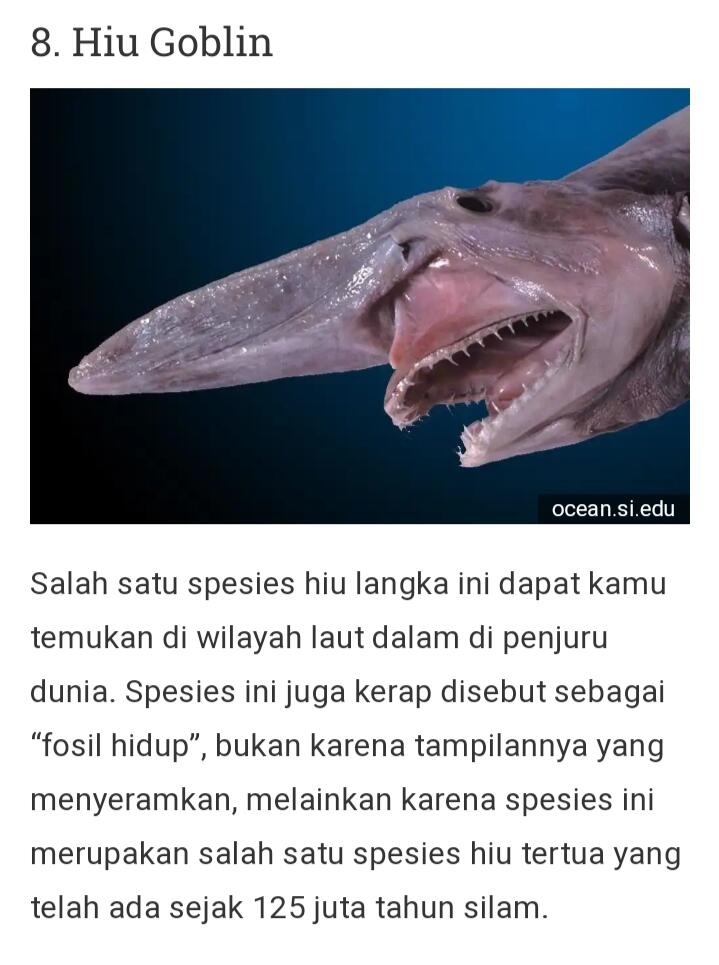 Dari Yang Telanjang Hingga Yang Unik Ada Di Sini Gan-sis, Yuk Cekidot Dah