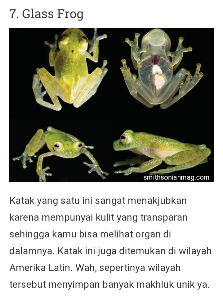 Dari Yang Telanjang Hingga Yang Unik Ada Di Sini Gan-sis, Yuk Cekidot Dah