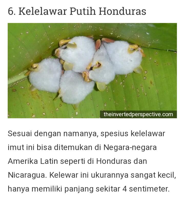 Dari Yang Telanjang Hingga Yang Unik Ada Di Sini Gan-sis, Yuk Cekidot Dah