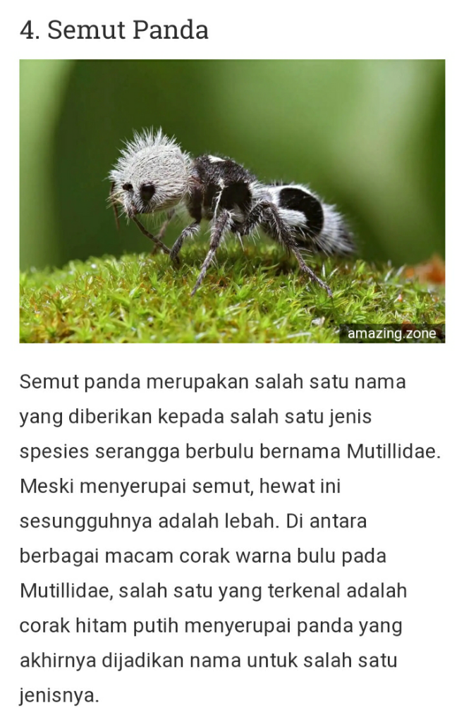Dari Yang Telanjang Hingga Yang Unik Ada Di Sini Gan-sis, Yuk Cekidot Dah