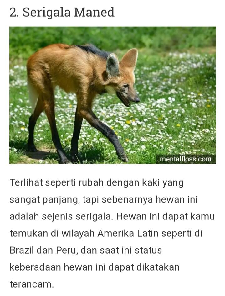 Dari Yang Telanjang Hingga Yang Unik Ada Di Sini Gan-sis, Yuk Cekidot Dah