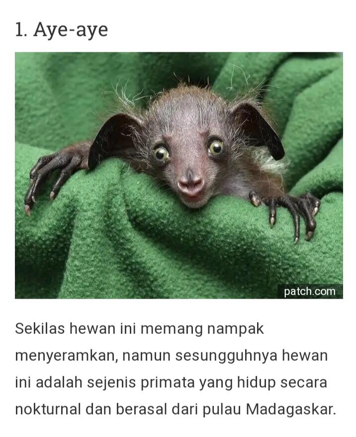 Dari Yang Telanjang Hingga Yang Unik Ada Di Sini Gan-sis, Yuk Cekidot Dah