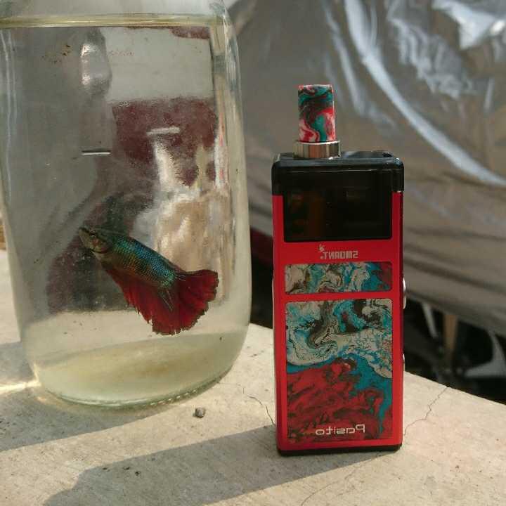 kaskus-image