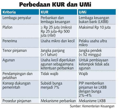 Yang Perlu Diketahui Pelaku UMKM Sebelum Pakai Umi
