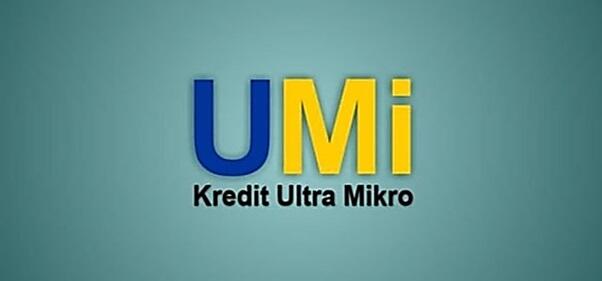 Yang Perlu Diketahui Pelaku UMKM Sebelum Pakai Umi