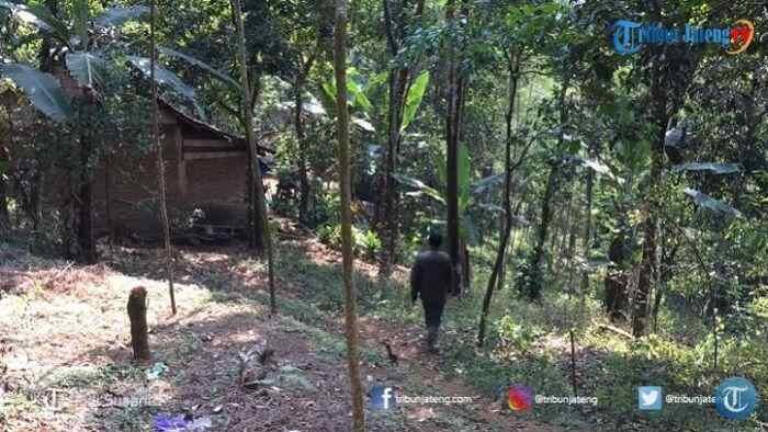 Merasa Terkena Kutukan, Keluarga Ini Pindah Tinggal ke Hutan