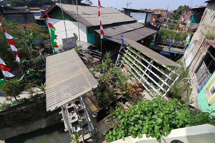 Pemanfaatan Bantaran Sungai, Salah Satunya Menjadi Kebun Bergizi