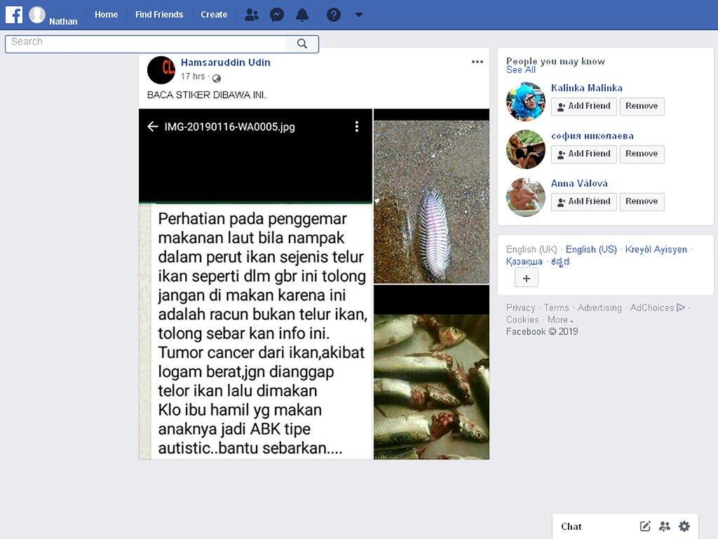 Beredar Gambar Telur Ikan Disebut Kanker, Bagaimana Faktanya?