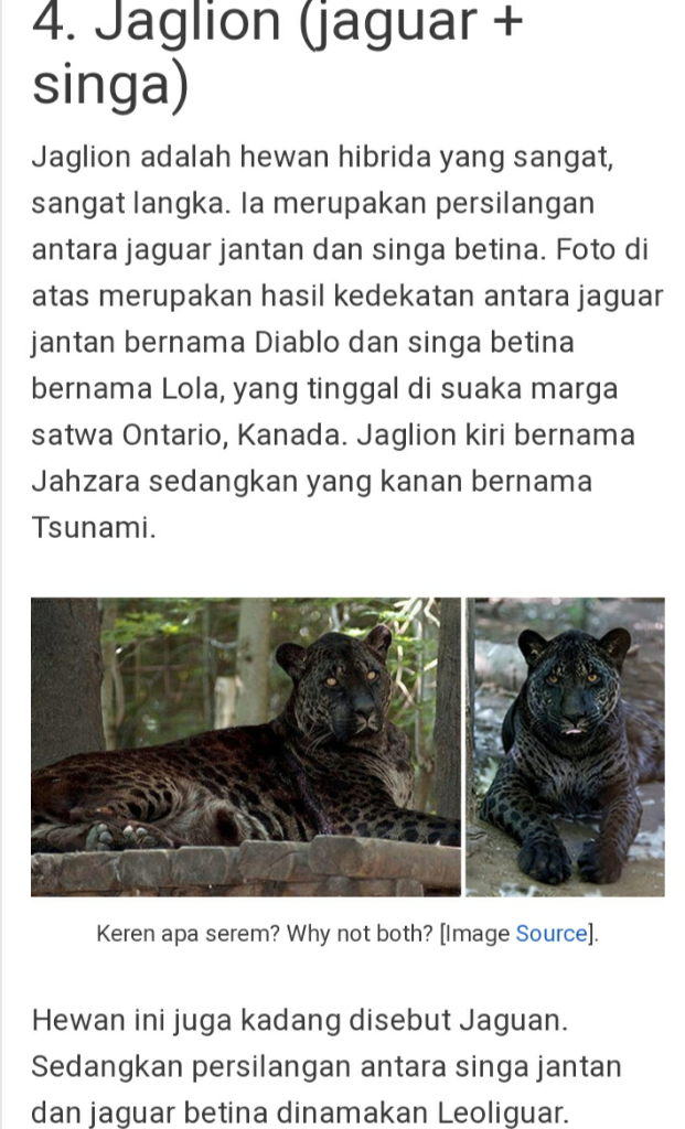 Manusia Dan Hewan, Bisakah Terjadi Hibrida Alami?