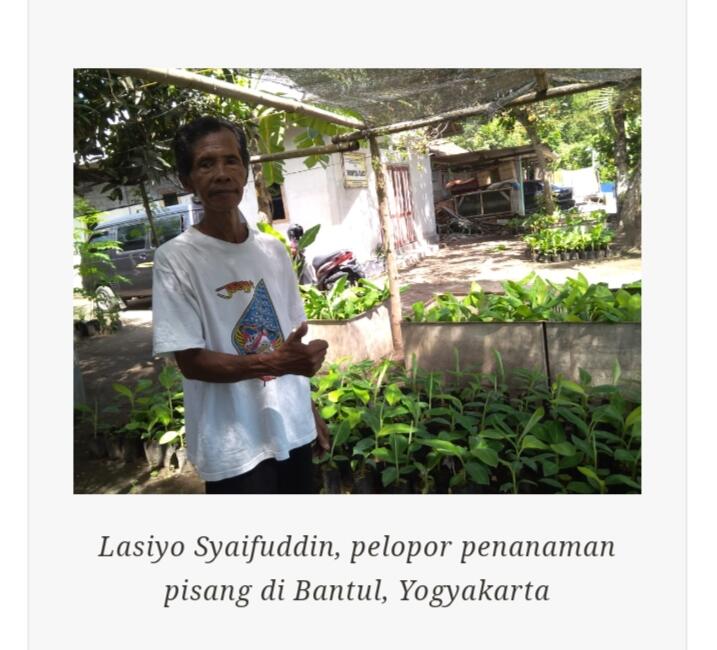 Jangan Nyinyir, Bantul Memulai Aksi