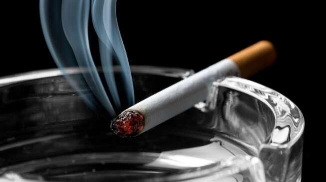 Rokok itu Tidak Berbahaya, Mau Tau Caranya Gan?