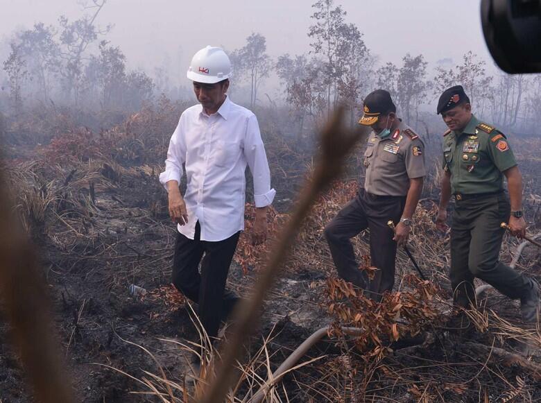MA Vonis Jokowi Melawan Hukum di Kasus Kebakaran Hutan!