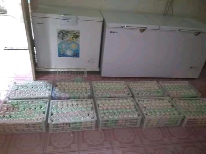 Susu Kedelai Fresh Soya, Enak Sehat dan Bergizi!