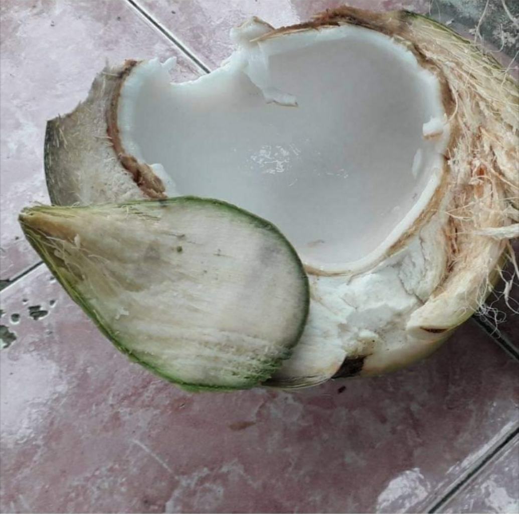 Degan Ijo, Minuman Segar Kaya Manfaat