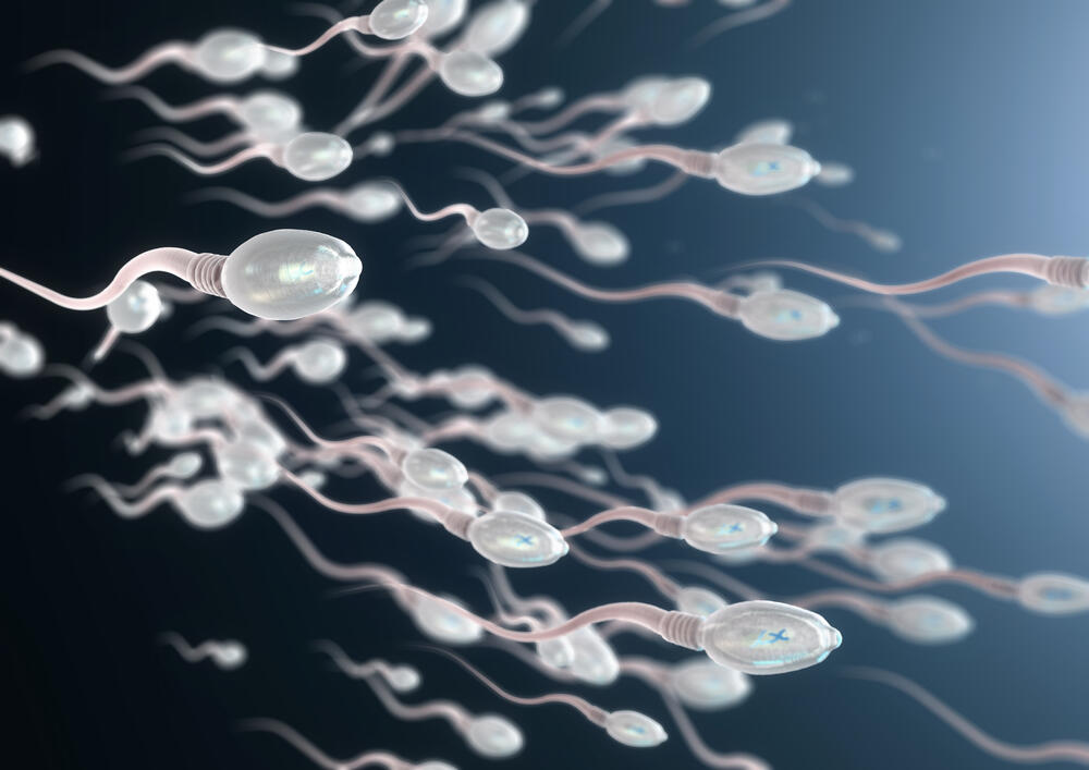 BAHAYA!! Hindari 8 makanan pembunuh sperma berikut ini