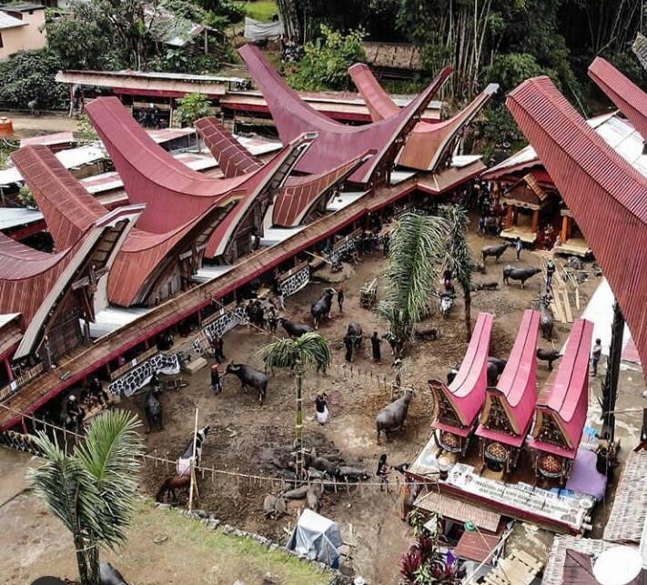 Jangan Dekati Tanah Toraja, Nanti Bisa Mati Penasaran