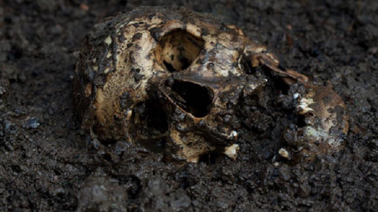 4 Hal Aneh dan Berbahaya Ini Malah Dinilai Legal untuk Dilakukan