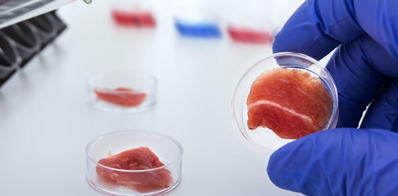 2023, Daging Sapi akan Digantikan dengan Lab-Grown Meat