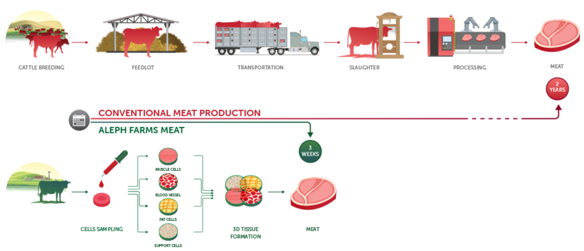 2023, Daging Sapi akan Digantikan dengan Lab-Grown Meat