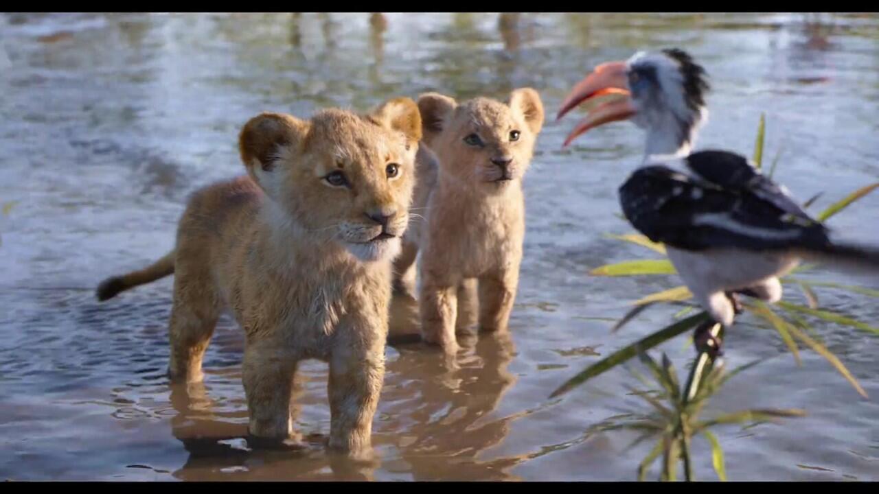 Yang Gue Suka dan Gak Suka dari Live Action Disney's The Lion King