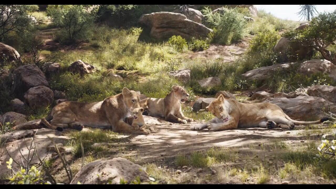 Yang Gue Suka dan Gak Suka dari Live Action Disney's The Lion King